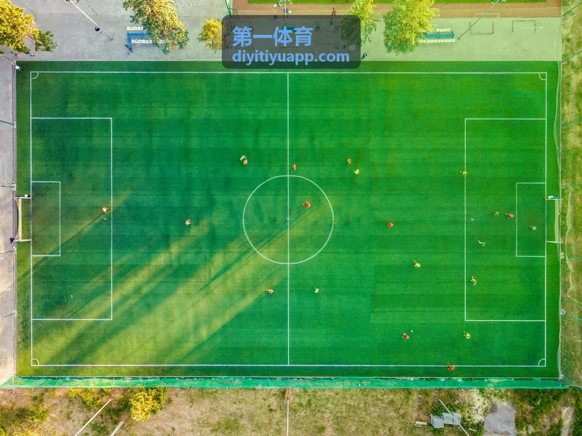 第一体育数据分析报告